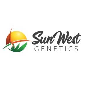 Sunwest Genetics allows you to buy cannabis seeds by phone.